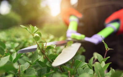 Créer un site internet pour jardinier et paysagiste
