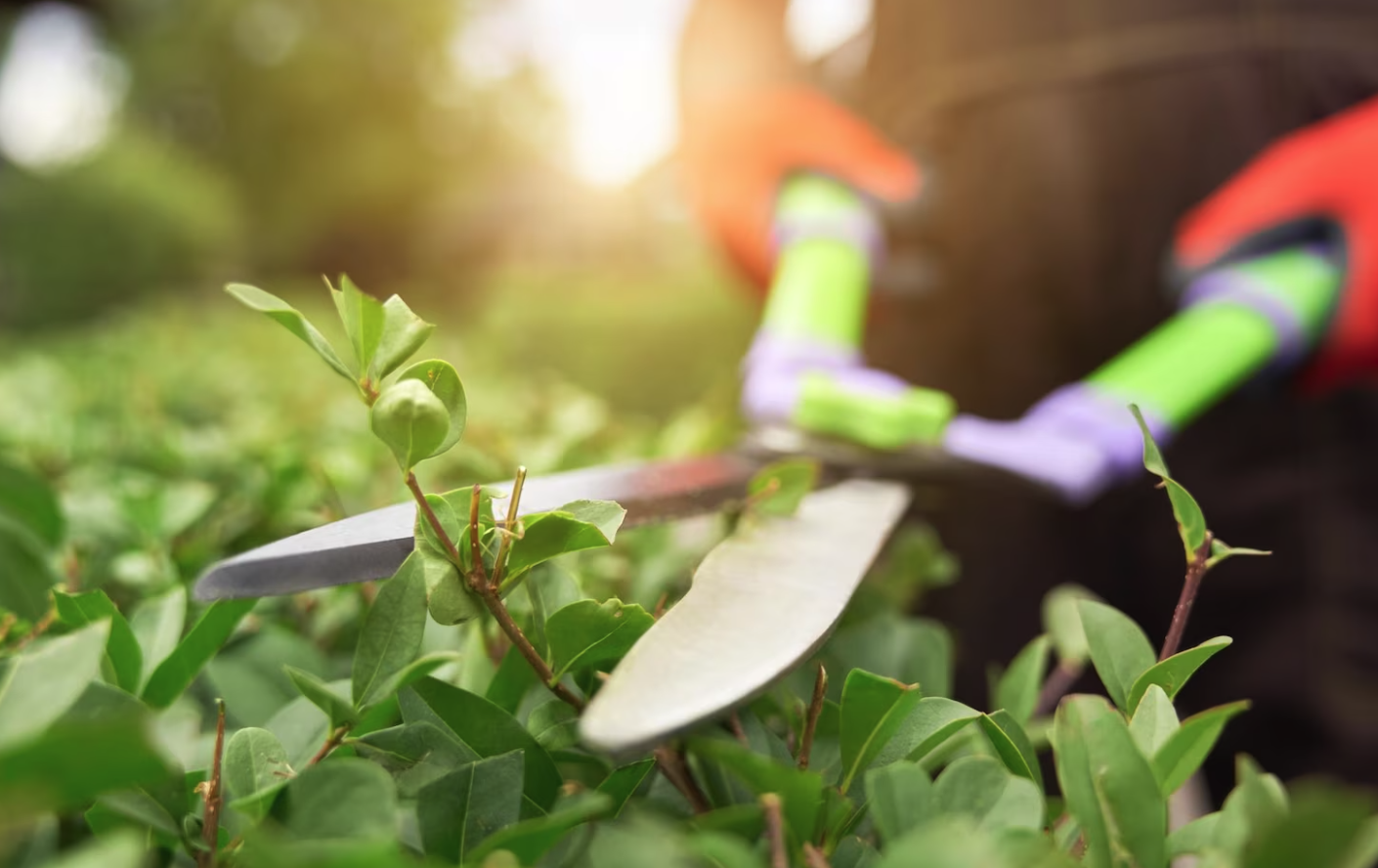 créer un site internet pour jardinier et paysagiste3