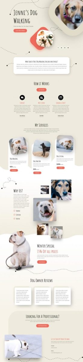 exemple de site internet pour promeneur de chien et pet sitter