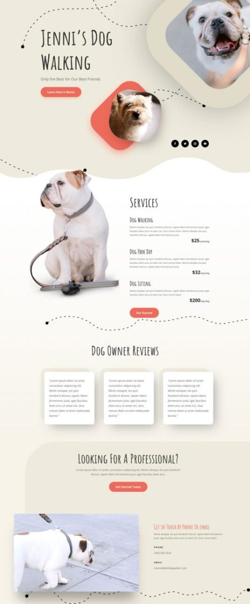 exemple de site internet pour promeneur de chien et pet sitter2