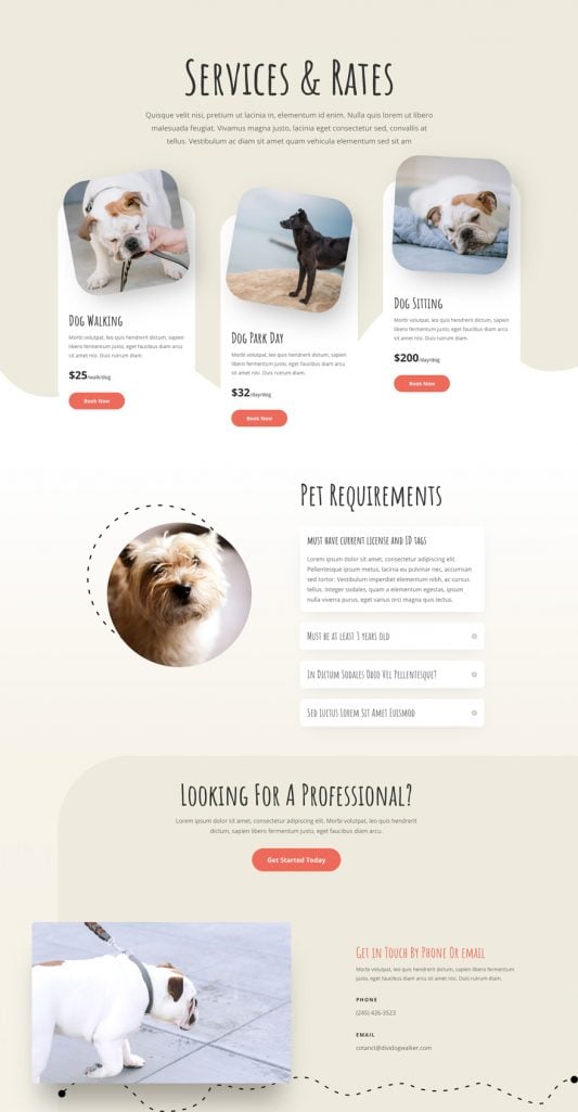 exemple de site internet pour promeneur de chien et pet sitter3